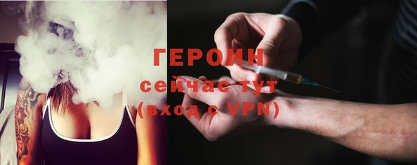 индика Богородицк