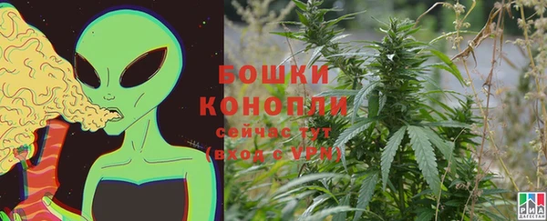 сатива Балабаново