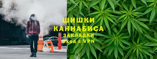 сатива Балабаново