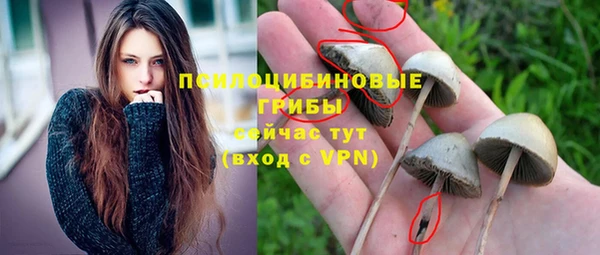сатива Балабаново